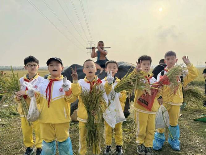 大树松鼠游戏给我们的启示_大树与松鼠规则_松鼠大树游戏规则