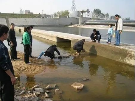 规则游戏规则_规则游戏及玩法_2人3足游戏规则